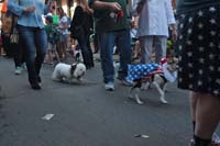 2016-Mystic-Krewe-of-Barkus-004711