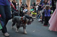 2016-Mystic-Krewe-of-Barkus-004774