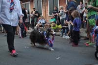 2016-Mystic-Krewe-of-Barkus-004778