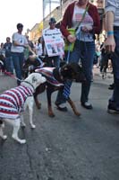 2016-Mystic-Krewe-of-Barkus-004796