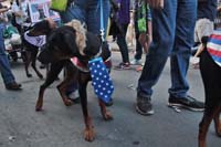 2016-Mystic-Krewe-of-Barkus-004798