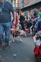 2016-Mystic-Krewe-of-Barkus-004807