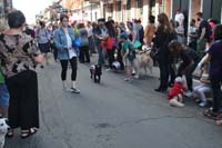 2016-Mystic-Krewe-of-Barkus-004808