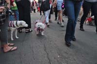 2016-Mystic-Krewe-of-Barkus-004812