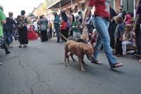 2016-Mystic-Krewe-of-Barkus-004815