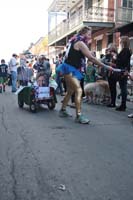 2016-Mystic-Krewe-of-Barkus-004822