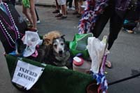 2016-Mystic-Krewe-of-Barkus-004824