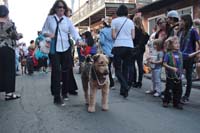 2016-Mystic-Krewe-of-Barkus-004826