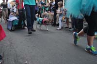 2016-Mystic-Krewe-of-Barkus-004829