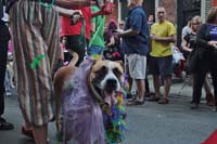 2016-Mystic-Krewe-of-Barkus-004831