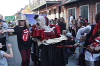 2016-Mystic-Krewe-of-Barkus-004835