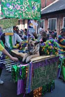 2016-Mystic-Krewe-of-Barkus-004840