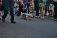 2016-Mystic-Krewe-of-Barkus-004852