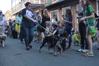 2016-Mystic-Krewe-of-Barkus-004853