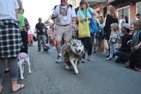 2016-Mystic-Krewe-of-Barkus-004855