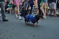 2016-Mystic-Krewe-of-Barkus-004857