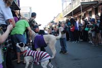 2016-Mystic-Krewe-of-Barkus-004864