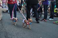 2016-Mystic-Krewe-of-Barkus-004872