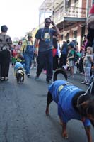 2016-Mystic-Krewe-of-Barkus-004913