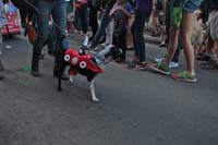 2016-Mystic-Krewe-of-Barkus-004924