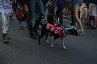 2016-Mystic-Krewe-of-Barkus-004925