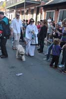 2016-Mystic-Krewe-of-Barkus-004957