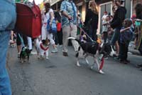 2016-Mystic-Krewe-of-Barkus-004963