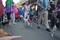 2016-Mystic-Krewe-of-Barkus-004965