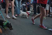 2016-Mystic-Krewe-of-Barkus-004969