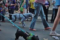 2016-Mystic-Krewe-of-Barkus-004971