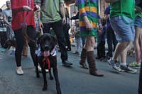 2016-Mystic-Krewe-of-Barkus-004975