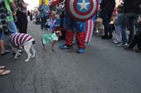 2016-Mystic-Krewe-of-Barkus-004993