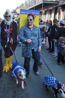 2016-Mystic-Krewe-of-Barkus-005002