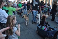 2016-Mystic-Krewe-of-Barkus-005016