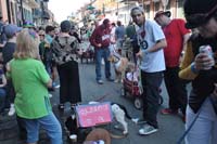 2016-Mystic-Krewe-of-Barkus-005026