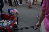 2016-Mystic-Krewe-of-Barkus-005051