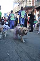 2016-Mystic-Krewe-of-Barkus-005052