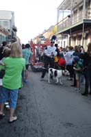 2016-Mystic-Krewe-of-Barkus-005065