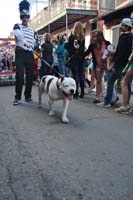 2016-Mystic-Krewe-of-Barkus-005066