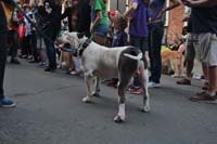 2016-Mystic-Krewe-of-Barkus-005069