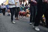 2016-Mystic-Krewe-of-Barkus-005089