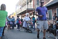 2016-Mystic-Krewe-of-Barkus-005127