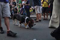 2016-Mystic-Krewe-of-Barkus-005128