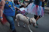 2016-Mystic-Krewe-of-Barkus-005134