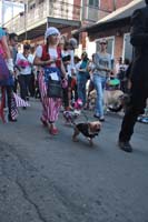 2016-Mystic-Krewe-of-Barkus-005136