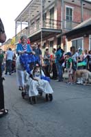 2016-Mystic-Krewe-of-Barkus-005158