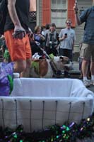 2016-Mystic-Krewe-of-Barkus-005171