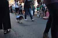 2016-Mystic-Krewe-of-Barkus-005173