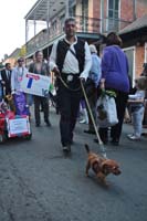 2016-Mystic-Krewe-of-Barkus-005194