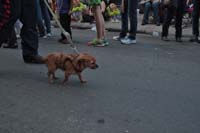 2016-Mystic-Krewe-of-Barkus-005196